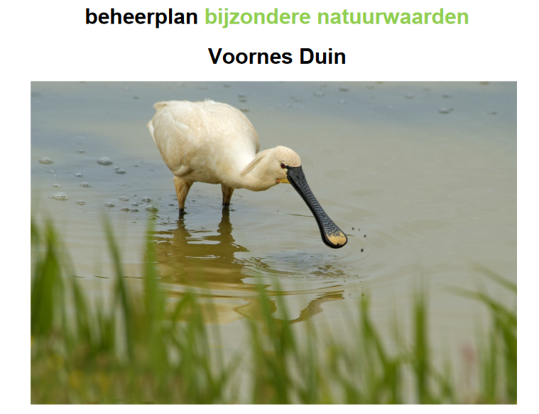 Nieuw beheerplan Natura 2000 gebied Voornes Duin